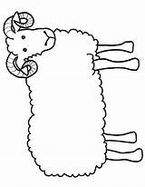 Sheep Ram Template Clipart Printable Coloring Craft Kids Drawing Outline Lamb Templates Crafts Drawings Cliparts Clip Children Pages Animal Goat sketch template