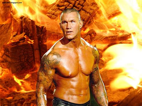 Sports Crazy Fighters Of Wwe Randy Orton And Triple H Hd