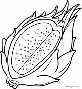 Pitaya Coloring Pages sketch template