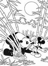 Mickey Safari Coloring Mouse Panda Feeding Cute sketch template