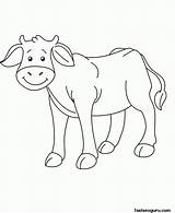 Coloring Cow Baby Pages Animal Printable Farm Kids Animals Clipart Shapes Colouring Cartoon Cows Simple Face Library Popular Freekidscoloringpage Strawberry sketch template
