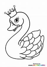 Swan Coloring Crown Swans sketch template