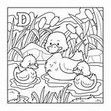 Duck Kleurend Brief Colorless Coloriage Kleurloze Lettre Canard Giraf Alfabet Kleurloos Incolor Ilustração Eend Alphabet sketch template