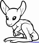 Kangaroo Coloring Pages Baby Kids Draw Animals Cute Drawings Step Colouring Desert Popular Comments sketch template