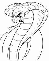 Cobra Snake Coloring Pages King Drawing Head Clipart Printable Viper Scary Animals Color Animal Cool Snakes Fangs Realistic Striking Clip sketch template