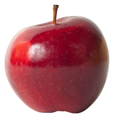 apple fruit photo  fanpop