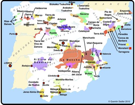 beginners guide  spanish wine regions types top choices
