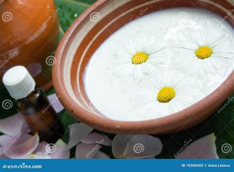 spanatural herbal spa stock photo image  cream lotion
