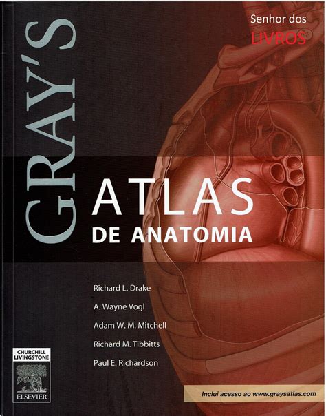 grays atlas de anatomia novidades radiologia