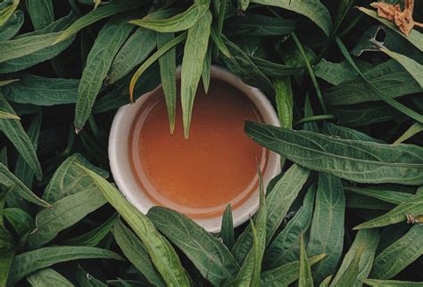 choose quality loose leaf tea perfecting  moment