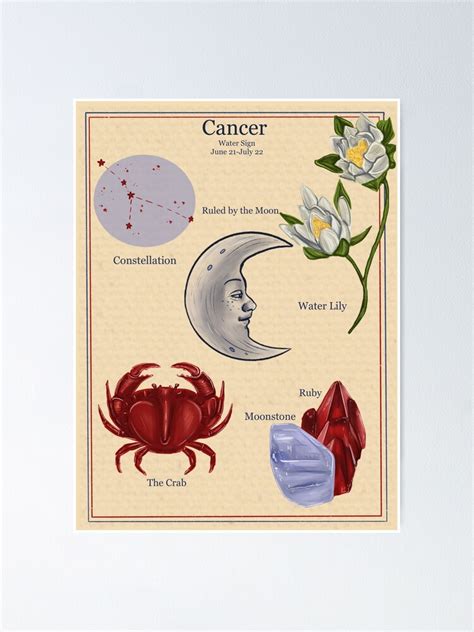 zodiac astrology vintage style poster cancer poster for sale by