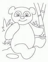 Pandas Pandy Kolorowanki Coloriages Animaux Bestcoloringpages sketch template