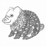Zentangle Tangle Piglet Domestic Little Boar Sow Doghousemusic sketch template