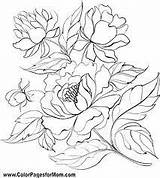 Coloring Pages Flower Choose Board Patterns sketch template