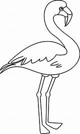 Flamant Flament Flamingo Kawaii Flamants Colorier Coloriages Dory Drawings Faire Harmonieux Oiseau Flamingos sketch template