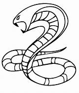 Snake Schlange Rattlesnake Getcolorings Clipartmag Realistic sketch template