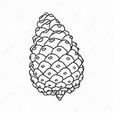 Cone Pine Vector Stock Getdrawings Drawn Sketch Drawing Line Hand Depositphotos sketch template