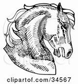 Horses Horse Head Pro Illustration Muscular Right Facing Clipart Carousel Spiraling Pole Popular Rider Throwing Cartoon Poster Print Pen Ink sketch template