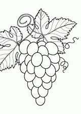 Cacho Uvas Berries Grapes sketch template