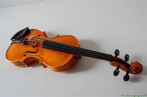 geige       violine gefertigt im auftrag  flickr