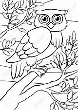 Owl Coloring Pages Birds Cute Tree Branch Drawing Bird Sitting Cartoon Sits Getdrawings sketch template