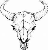 Skull Drawing Buffalo Drawings Sketch Skulls Clipart Bull Longhorn Cow Deer Tattoo Cattle Line Clip Tattoos Desert Animal Coloring Simple sketch template