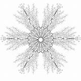 Monochrome Ornamental sketch template