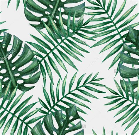 photo palm leaf background abstract nature texture