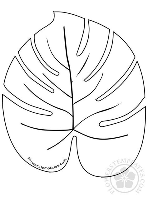 palm leaves template google search leaf template leaf coloring