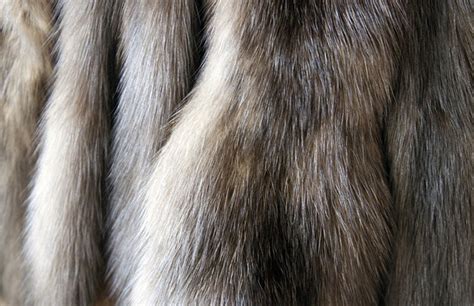 buying fur  variety  worth   investopedia