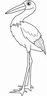 Stork Cegonha Ptaki Passarinho Cicogna Kolorowanki Oiseaux Disegno Pintarcolorir Cigogne Bocian Cigognes Dzieci Bociany Boyama Leylek Tudodesenhos Cicogne Gera Schede sketch template
