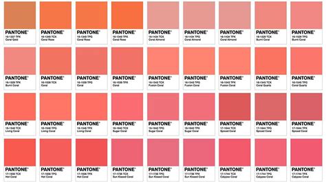 pantone kleur   bekend living coral rouge  levres corail couleur pantone nuancier