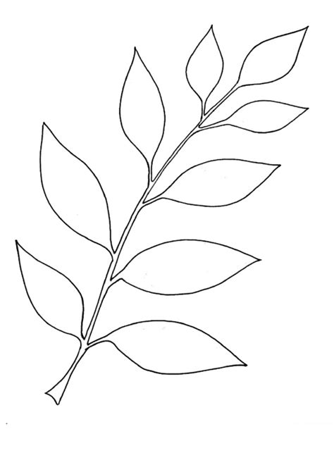 coloring pages simple leaf coloring pages