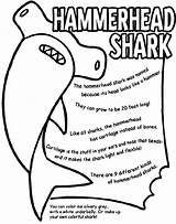 Shark Hammerhead Coloring Pages Crayola Ca Print sketch template