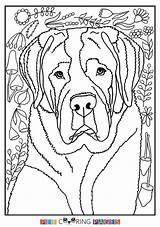 Bernard Coloring Pages St Saint Printable Dog Color Getcolorings Pinu Zdroj Colorbook sketch template