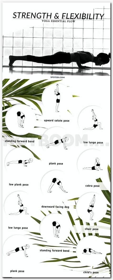 ashtanga yoga  easy yoga workouts yoga postures