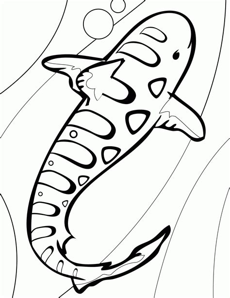 shark coloring pages  print coloring home