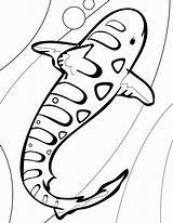 Shark Coloring Pages Leopard Printable Print Megalodon Clipart Sharks Kids Tiger Baby Drawing Hammerhead Whale Bull Color Drawings Duggee Hey sketch template
