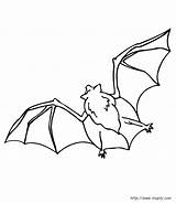 Chauve Souris Bat Toupty sketch template
