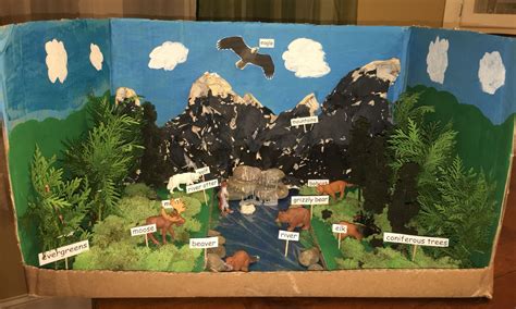 taiga biome diorama bd ecosystems projects habitats projects