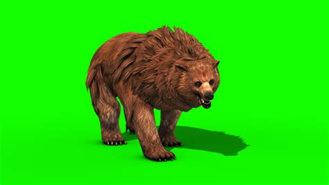 brown bear roar  model animated pixelboom