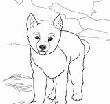 Dingo Printable sketch template