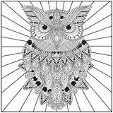 Coloring Pages Owl Adults Printable Getcolorings sketch template