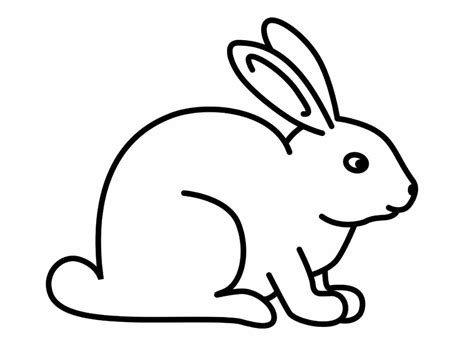 printable rabbit coloring pages  kids rabbit colors rabbit