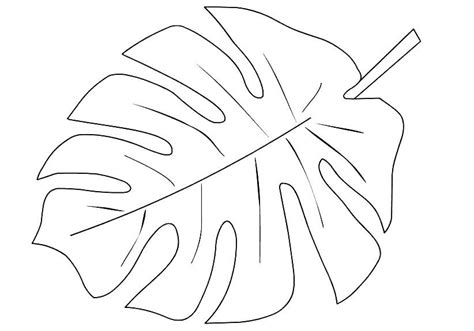 top jungle leaves coloring pages