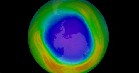 efforts  heal  ozone layer  finally paying