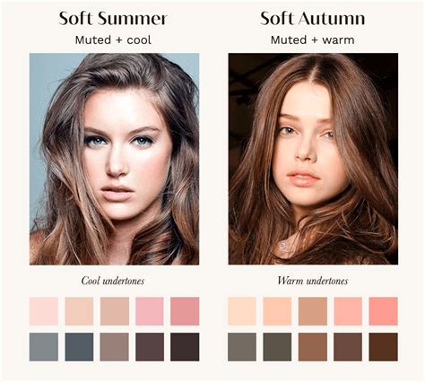 soft summer  soft autumn    difference  concept wardrobe