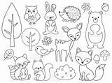 Woodland sketch template