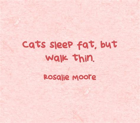 Cats Sleep Fat But Walk Thin Quozio