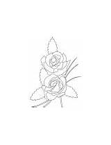 Coloring Amber Flush Bouquet Rose sketch template